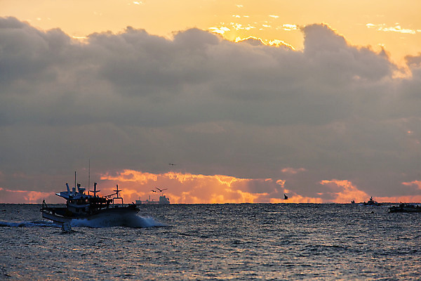 포토 JPG 주간 구름 바다 여행 자연 하늘 한국 풍경 사람없음 야외 일출 어선 울산 국내여행 멸치 멸치잡이 국내포토 자연요소 아시아 배_교통 어류 어업 노을 생태계 파일형식