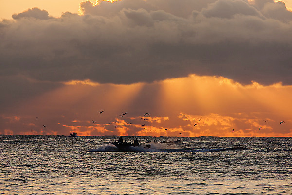 포토 JPG 주간 구름 바다 여행 자연 하늘 한국 풍경 사람없음 야외 일출 어선 울산 국내여행 멸치 멸치잡이 국내포토 자연요소 아시아 배_교통 어류 어업 노을 생태계 파일형식
