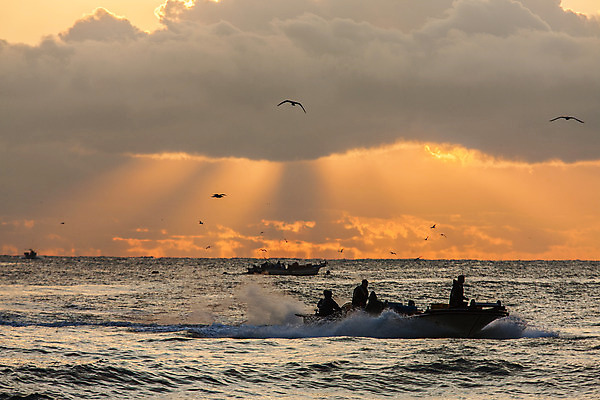 포토 JPG 주간 구름 바다 여행 자연 하늘 한국 풍경 사람없음 야외 일출 어선 울산 국내여행 멸치 멸치잡이 국내포토 자연요소 아시아 배_교통 어류 어업 노을 생태계 파일형식