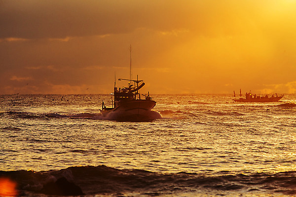 포토 JPG 주간 바다 여행 자연 한국 풍경 사람없음 야외 일출 노을 어선 울산 국내여행 멸치 멸치잡이 국내포토 자연요소 아시아 배_교통 어류 어업 생태계 파일형식