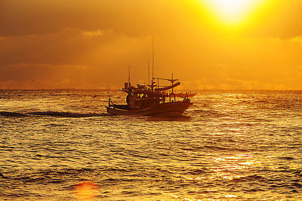 포토 JPG 주간 바다 여행 자연 한국 풍경 사람없음 야외 햇빛 태양 일출 어선 울산 국내여행 멸치 멸치잡이 국내포토 자연요소 아시아 배_교통 어류 어업 노을 생태계 파일형식