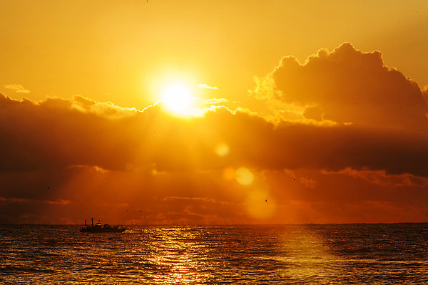 포토 JPG 주간 구름 바다 여행 자연 하늘 한국 풍경 사람없음 야외 햇빛 태양 일출 어선 울산 국내여행 멸치 멸치잡이 국내포토 자연요소 아시아 배_교통 어류 어업 노을 생태계 파일형식