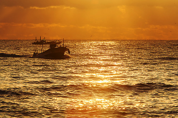 포토 JPG 주간 바다 여행 자연 한국 풍경 사람없음 야외 일출 어선 울산 국내여행 멸치 멸치잡이 국내포토 자연요소 아시아 배_교통 어류 어업 노을 생태계 파일형식