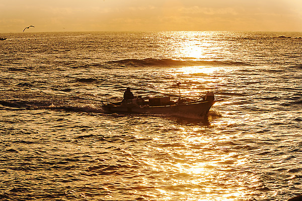 포토 JPG 주간 바다 여행 자연 한국 풍경 사람없음 야외 일출 어선 울산 국내여행 멸치 멸치잡이 국내포토 자연요소 아시아 배_교통 어류 어업 노을 생태계 파일형식