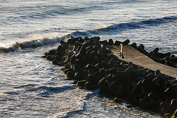 포토 JPG 주간 여행 자연 한국 풍경 사람없음 야외 울산 국내여행 멸치 멸치잡이 국내포토 자연요소 아시아 어류 어업 생태계 파일형식