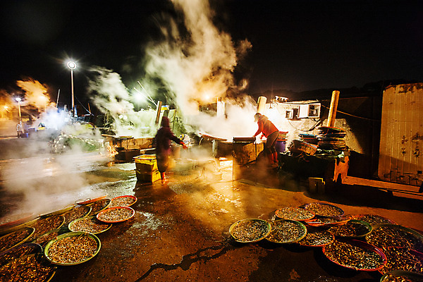 포토 JPG 여행 자연 한국 사람 풍경 야외 두명 연기 야간 울산 국내여행 멸치 멸치잡이 국내포토 자연요소 아시아 어류 어업 생태계 파일형식