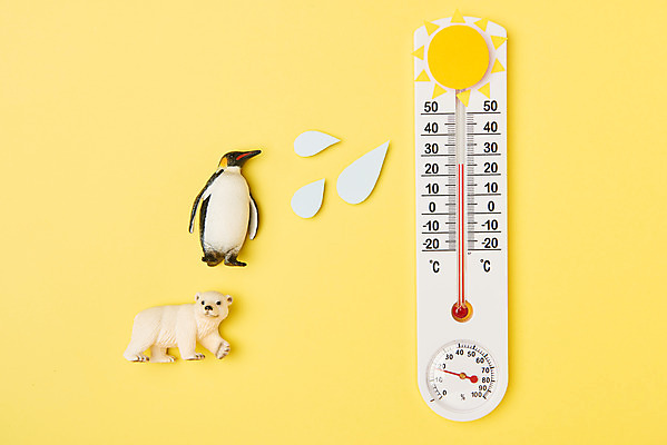 포토 JPG 스튜디오촬영 동물 날씨 실내 사람없음 하이앵글 태양 환경 보호 온도계 펭귄 북극곰 지구온난화 노란배경 플랫레이 국내포토 자연요소 뷰포인트 백그라운드 컨셉 곰 조류 내부 노란색 플랫 기후변화 파일형식