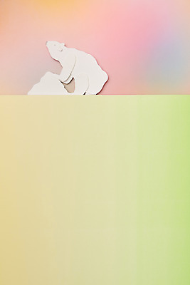 포토 JPG 스튜디오촬영 동물 종이 날씨 실내 사람없음 하이앵글 환경 보호 북극곰 빙하 지구온난화 플랫레이 초록배경 국내포토 뷰포인트 백그라운드 컨셉 곰 내부 초록색 플랫 기후변화 파일형식