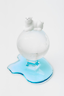 포토 JPG 스튜디오촬영 동물 지구 날씨 실내 사람없음 환경 보호 흰배경 북극곰 지구온난화 국내포토 백그라운드 컨셉 곰 내부 흰색 기후변화 파일형식