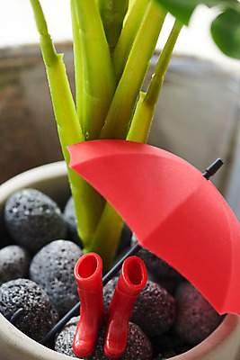 포토 JPG 스튜디오촬영 식물 화분 우산 날씨 실내 장화 사람없음 여름 환경 미니어처 돌_바위 비 장마 국내포토 자연요소 계절 신발 내부 모형 비_날씨 파일형식