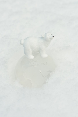 포토 JPG 주간 동물 백그라운드 겨울 날씨 사람없음 야외 지구본 환경 흰색 눈 흰배경 북극곰 국내포토 자연요소 계절 컬러 곰 파일형식