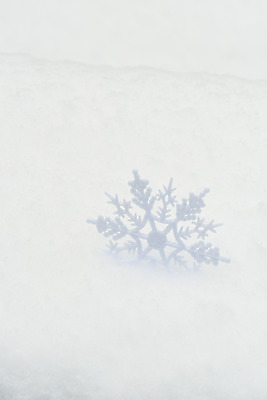 포토 JPG 주간 백그라운드 겨울 날씨 사람없음 야외 환경 흰색 눈 흰배경 결정체 국내포토 자연요소 계절 컬러 파일형식