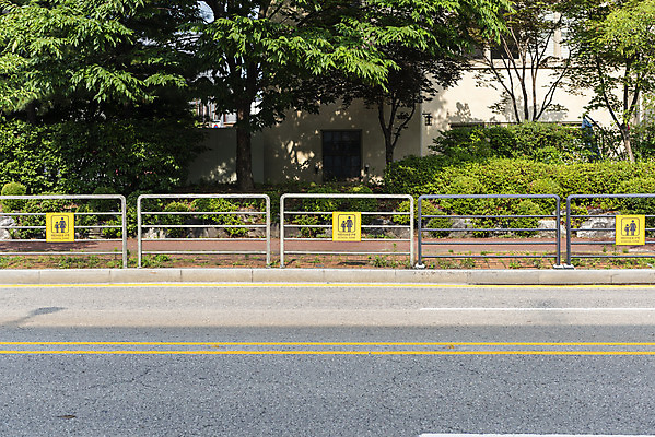 포토 JPG 주간 도로 사람없음 야외 속도제한 스쿨존 안전속도 안전펜스 어린이보호 어린이보호구역 법률개정 국내포토 자연요소 길 교통시설 울타리 금지 보호구역 파일형식 개정