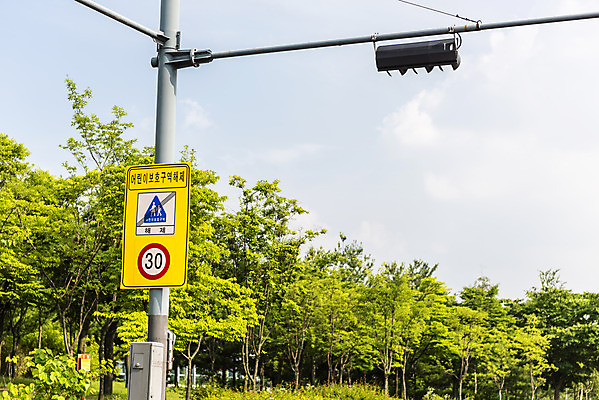 포토 JPG 주간 사람없음 야외 신호등 도로표지판 속도제한 스쿨존 안전속도 어린이보호 어린이보호구역 법률개정 국내포토 자연요소 도로 금지 표지판 보호구역 파일형식 개정