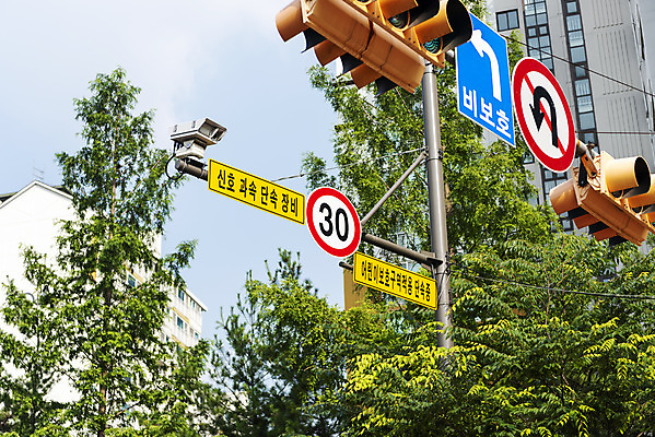 포토 JPG 주간 사람없음 야외 신호등 도로표지판 속도제한 스쿨존 안전속도 어린이보호 어린이보호구역 법률개정 국내포토 자연요소 도로 금지 표지판 보호구역 파일형식 개정