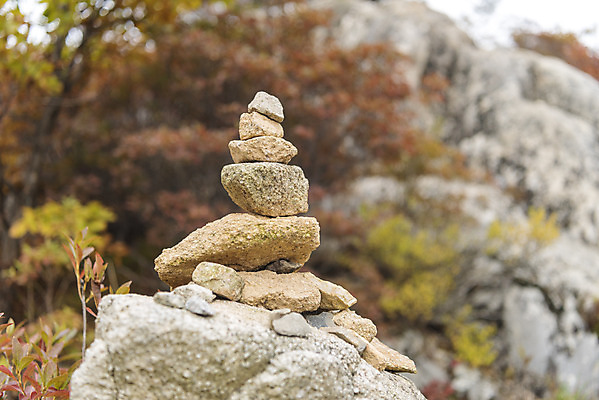 포토 JPG 주간 여유 여행 단풍 잎 자연 나뭇잎 한국 풍경 근접촬영 사람없음 야외 가을 강원도 국내여행 국내포토 자연요소 식물 계절 감정 아시아 뷰포인트 생태계 파일형식