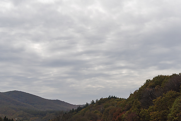 포토 JPG 주간 구름 여유 여행 자연 하늘 한국 풍경 사람없음 야외 가을 강원도 흐림 국내여행 국내포토 자연요소 계절 감정 아시아 날씨 생태계 파일형식
