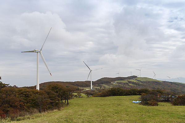 포토 JPG 주간 구름 여유 여행 자연 하늘 한국 풍경 사람없음 야외 가을 풍력에너지 강원도 흐림 국내여행 국내포토 자연요소 계절 감정 아시아 날씨 그린에너지 생태계 파일형식