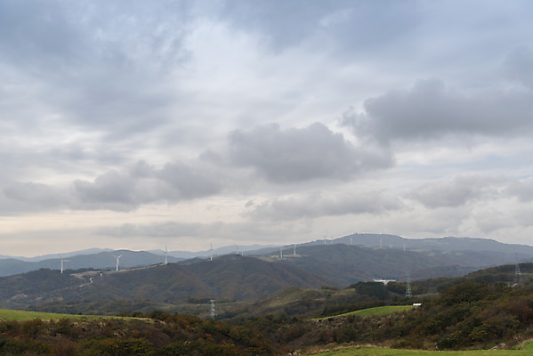 포토 JPG 주간 구름 여유 여행 자연 하늘 한국 풍경 사람없음 야외 가을 건초 먹이 강원도 대관령 국내여행 국내포토 자연요소 계절 감정 아시아 생태계 파일형식