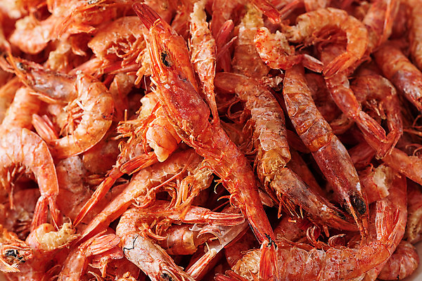 포토 JPG 스튜디오촬영 식재료 새우 실내 근접촬영 사람없음 여러개 신선 유기농 꽃새우 국내포토 웰빙 뷰포인트 다수 갑각류 내부 파일형식