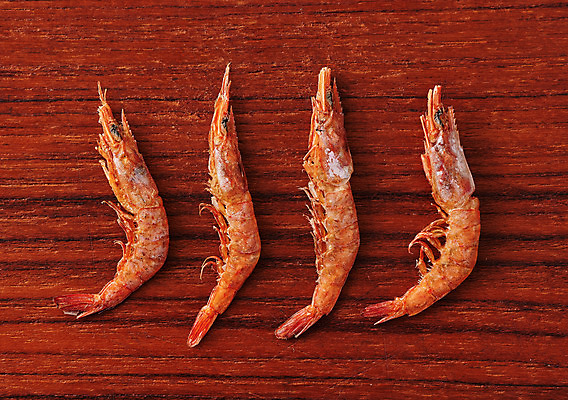 포토 JPG 스튜디오촬영 식재료 새우 실내 사람없음 하이앵글 여러개 신선 유기농 갈색배경 꽃새우 국내포토 웰빙 뷰포인트 다수 백그라운드 갑각류 내부 갈색 파일형식