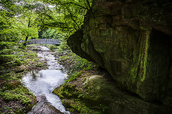 포토 JPG 주간 여행 자연 한국 풍경 사람없음 야외 여름 관광지 계곡 바위 숲 경상북도 국내여행 김천 직지사 국내포토 자연요소 계절 아시아 돌_바위 사찰 경상도 생태계 파일형식