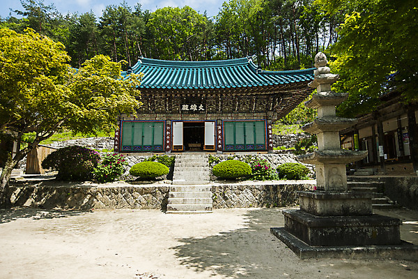 포토 JPG 주간 여행 자연 한국 풍경 사람없음 야외 여름 관광지 계곡 숲 경상북도 국내여행 김천 직지사 국내포토 자연요소 계절 아시아 사찰 경상도 생태계 파일형식