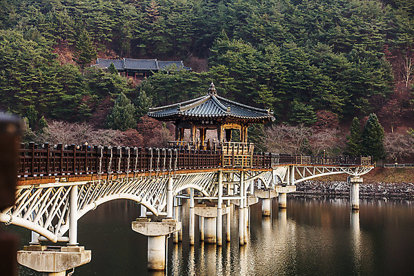 포토 JPG 주간 여행 자연 한국 풍경 사람없음 야외 관광지 일몰 경상북도 정자 국내여행 안동 안동호 월영교 국내포토 자연요소 건축물 아시아 호수 노을 다리_건축물 경상도 생태계 파일형식
