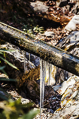 포토 JPG 주간 여행 겨울 한국 풍경 사람없음 야외 관광지 얼음 전라남도 고드름 국내여행 담양 소쇄원 국내포토 자연요소 계절 아시아 전라도 명승지 파일형식