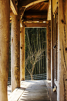 포토 JPG 주간 여행 유적 한국 풍경 사람없음 야외 관광지 기둥 전라남도 대나무 국내여행 담양 소쇄원 광풍원 국내포토 자연요소 나무 전통 건축 아시아 고건축 전라도 명승지 파일형식