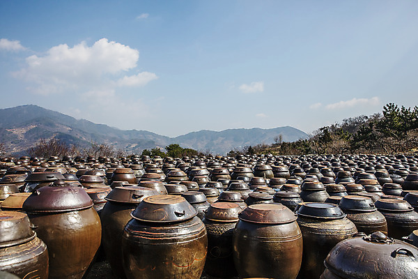 포토 JPG 주간 여행 한국 풍경 사람없음 야외 관광지 항아리 전라남도 광양 국내여행 매화마을 국내포토 자연요소 아시아 도자기 전라도 파일형식