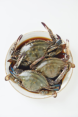 포토 JPG 스튜디오촬영 그릇 접시 음식 실내 사람없음 하이앵글 게 흰배경 기호식품 게장 간장게장 플랫레이 국내포토 식기 한식 뷰포인트 백그라운드 갑각류 내부 흰색 플랫 게요리 파일형식