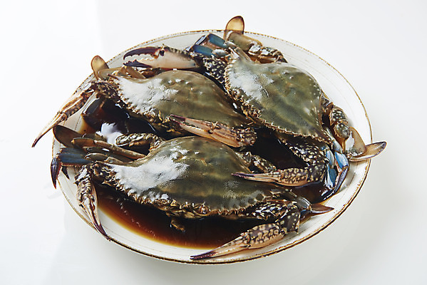 포토 JPG 스튜디오촬영 그릇 접시 음식 실내 사람없음 게 흰배경 기호식품 게장 간장게장 국내포토 식기 한식 백그라운드 갑각류 내부 흰색 게요리 파일형식