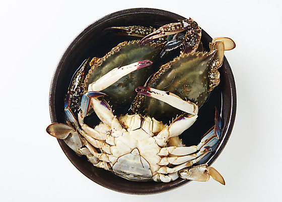 포토 JPG 스튜디오촬영 그릇 접시 음식 실내 사람없음 하이앵글 게 암컷 수컷 흰배경 기호식품 게장 간장게장 플랫레이 국내포토 동물 식기 한식 뷰포인트 백그라운드 갑각류 내부 흰색 플랫 게요리 파일형식