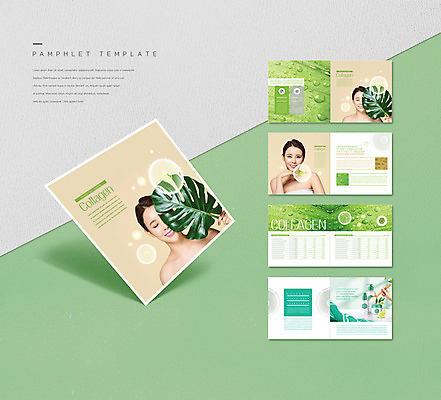 템플릿 손 여자 ZIP 리플렛 팜플렛 성인 신체부위 세명 뷰티 화장품 한국인 물방울 풀 풀잎 피부 콜라겐 의료성형뷰티 성인여자만 인디자인 INDD 이미지템플릿 식물 잎 사람 동양인 풀_식물 단백질 여자만 성인만 파일형식