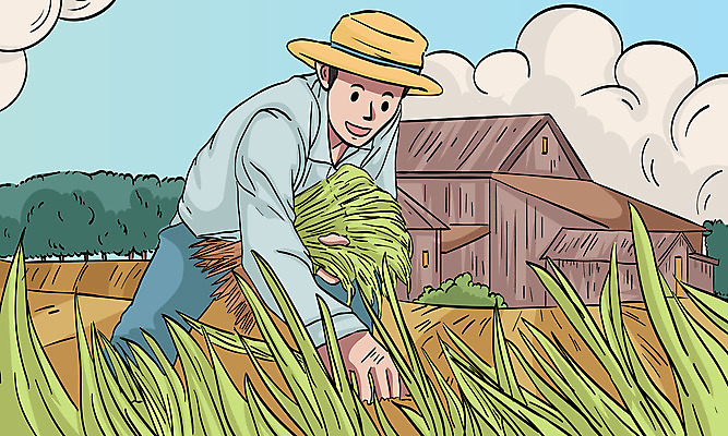 남자 일러스트 한명 성인 초록색 수확 벼 농부 창고 농업인의날 성인남자한명만 국내일러스트 AI파일 직업 1 기념일 컬러 농업 곡류 사람 남자한명만 성인남자만 파일형식 벡터