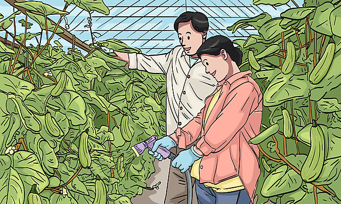 여자 남자 장갑 일러스트 호박 성인 두명 초록색 농부 호스 비닐하우스 농업인의날 성인만 국내일러스트 AI파일 직업 잡화 기념일 컬러 농업 채소 사람 파일형식 벡터