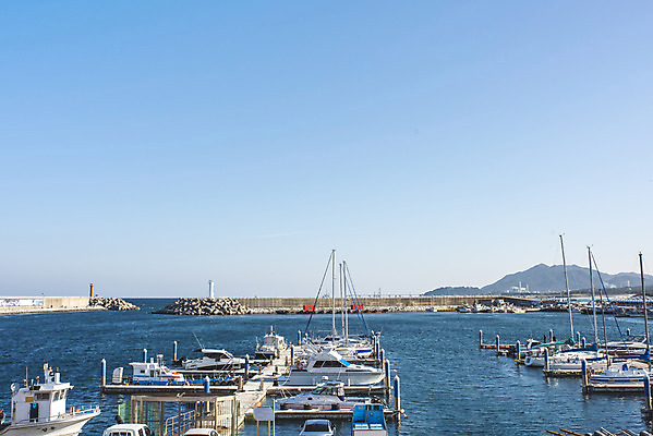 포토 JPG 주간 교통수단 바다 여행 겨울 요트 사람없음 야외 항구 강원도 강릉 선박 강릉항 국내포토 자연요소 계절 교통 수상교통 배_교통 교통시설 한국 파일형식