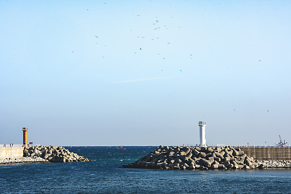 포토 JPG 주간 바다 여행 겨울 갈매기 조류 하늘 등대 사람없음 야외 항구 해수욕장 신호 강원도 강릉 선박 강릉항 국내포토 자연요소 동물 계절 수상교통 교통시설 한국 파일형식