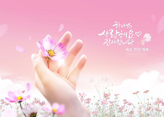 PSD 편집이미지 손 기독교 종교 분홍색 신체부위 교회 코스모스 예배 이미지편집 꽃 컬러 종교건축 사람 건물 파일형식