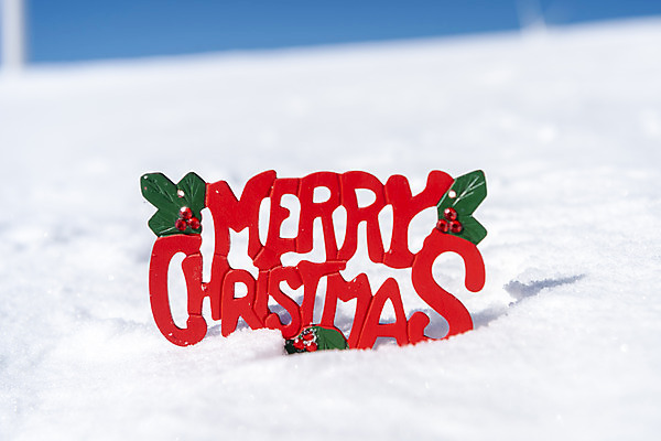 포토 JPG 주간 크리스마스 겨울 산 사람없음 야외 추위 눈 차가움 오브젝트 강원도 겨울산 대관령 국내포토 자연요소 계절 기념일 날씨 한국 파일형식