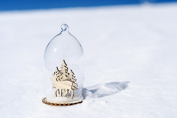 포토 JPG 주간 겨울 유리 산 근접촬영 사람없음 야외 추위 눈 차가움 오브젝트 강원도 겨울산 대관령 국내포토 자연요소 계절 뷰포인트 재질 날씨 한국 파일형식