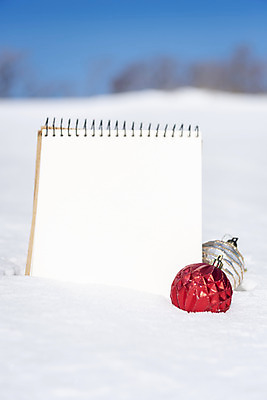 포토 JPG 주간 겨울 산 사람없음 야외 아웃포커스 장난감 공백 장식볼 추위 눈 차가움 스케치북 오브젝트 강원도 겨울산 대관령 오너먼트 국내포토 자연요소 계절 크리스마스장식 날씨 학용품 한국 촬영기법 장식 파일형식