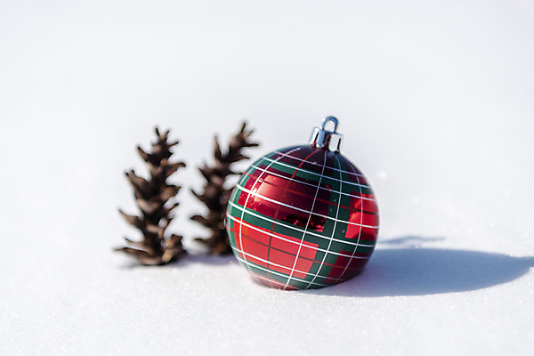 포토 JPG 주간 겨울 산 근접촬영 사람없음 야외 아웃포커스 장식볼 추위 눈 차가움 오브젝트 강원도 솔방울 겨울산 대관령 오너먼트 국내포토 자연요소 계절 뷰포인트 크리스마스장식 날씨 한국 촬영기법 장식 파일형식