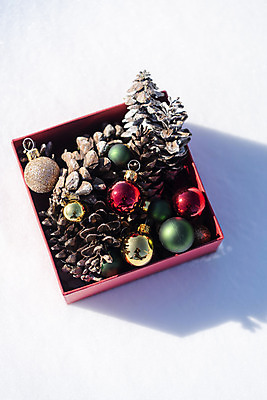 포토 JPG 주간 겨울 크리스마스용품 산 사람없음 야외 하이앵글 장식볼 추위 눈 차가움 오브젝트 강원도 겨울산 대관령 오너먼트 플랫레이 국내포토 자연요소 계절 뷰포인트 크리스마스장식 크리스마스 날씨 한국 장식 플랫 용품 파일형식