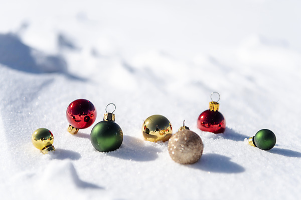 포토 JPG 주간 겨울 크리스마스용품 산 사람없음 야외 여러개 장식볼 추위 눈 차가움 오브젝트 강원도 겨울산 대관령 오너먼트 국내포토 자연요소 계절 다수 크리스마스장식 크리스마스 날씨 한국 장식 용품 파일형식