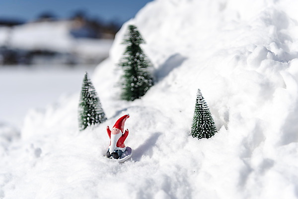 포토 JPG 주간 겨울 산 사람없음 야외 아웃포커스 크리스마스트리 산타클로스 추위 눈 차가움 오브젝트 썰매 강원도 겨울산 대관령 국내포토 자연요소 계절 크리스마스 날씨 한국 촬영기법 파일형식