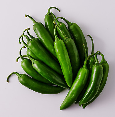 포토 JPG 스튜디오촬영 채소 식재료 고추 회색배경 실내 사람없음 하이앵글 여러개 신선 유기농 오이고추 국내포토 웰빙 뷰포인트 다수 백그라운드 내부 회색 파일형식