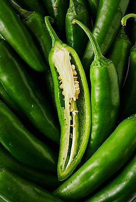 포토 JPG 스튜디오촬영 채소 식재료 고추 회색배경 실내 근접촬영 사람없음 여러개 신선 유기농 오이고추 국내포토 웰빙 뷰포인트 다수 백그라운드 내부 회색 파일형식