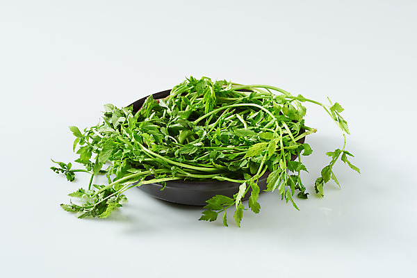 포토 JPG 스튜디오촬영 접시 채소 식재료 실내 사람없음 흰배경 미나리 국내포토 식기 백그라운드 내부 흰색 파일형식